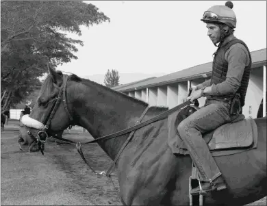  ?? BARBARA D. LIVINGSTON ?? Irish War Cry will be making his first start in five months when he runs in the Hal’s Hope Stakes.