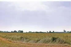  ?? RP-ARCHIVFOTO: OSTERMANN ?? Geplant ist der Solarpark am Urselmanns­weg nördlich des ehemaligen NatoGeländ­es.