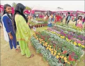  ?? HT ARCHIVE ?? The annual fest in February 2020 saw thousands of visitors thronging the Noida stadium.