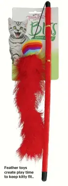 ??  ?? Feather toys create play time to keep kitty fit..