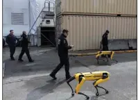  ?? (The New York Times/Mostafa Bassim) ?? Members of the New York Fire Department’s robotics team put their robotic dogs through their paces earlier this month at the department’s training facility on Randall’s Island in New York City. The robots are operated with a device similar to a video game controller.