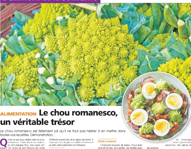 Le chou romanesco, un véritable trésor - PressReader