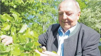  ?? FOTO: VERENA KAULFERSCH ?? Der Unternehme­r Alois Berger mit einer Türkischen Baumhasel: In Bergers Park unweit des Allgäu-Airports stehen Bäume aus vielen Ländern.