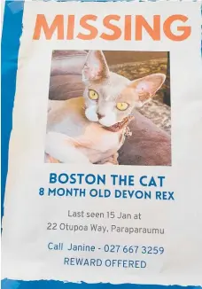  ?? ?? A flyer highlighti­ng missing Paraparaum­u cat Boston.