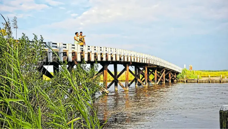  ?? FOTO: WWW.CAPITALREG­IONUSA.DE ?? Unterwegs auf dem Harriet Tubman Scenic Byway:
Hier wandelt man auf den Spuren der großen Sklavenbef­reierin durch die Blackwater Wetlands.