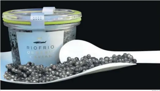  ?? FOTOS: G. H. ?? El caviar granadino se expande a nivel internacio­nal.