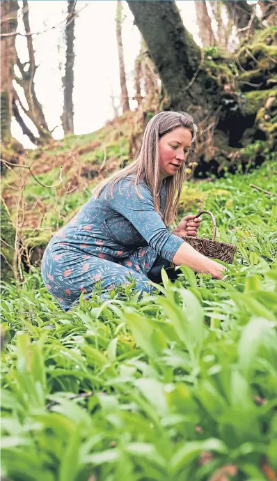  ?? ?? Clare Holohan picks some wild garlic during one of her foraging adventures