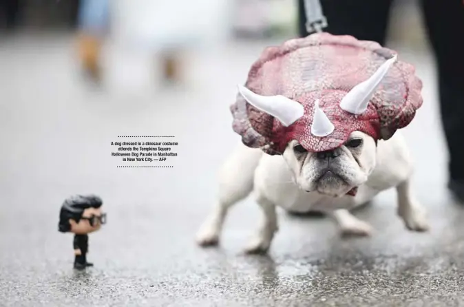  ??  ?? A dog dressed in a dinosaur costume
attends the Tompkins Square Halloween Dog Parade in Manhattan
in New York City. — AFP