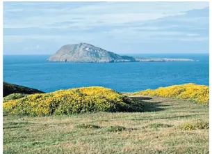  ??  ?? The Country of Larks: A Chiltern
Journey by Gail Simmons is published by Bradt (books. telegraph.co.uk). PILGRIMS’ PROGRESS