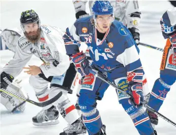  ?? FOTO: FELIX KÄSTLE ?? Maximilian Kolb und die Ravensburg Towerstars spielen an diesem Wochenende gegen Frankfurt und Bietigheim.