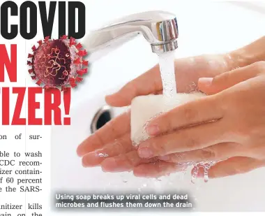  ??  ?? Using soap breaks up viral cells and dead microbes and flushes them down the drain