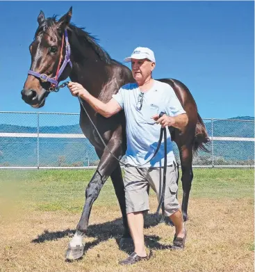  ?? Picture: JUSTIN BRIERTY ?? STEPPING UP: Gold Coast trainer John Petersen, in the Far North for the Cairns Cup and Amateurs racing carnivals, prepares Devastatin­g Rhythm for this weekend’s race at Innisfail.