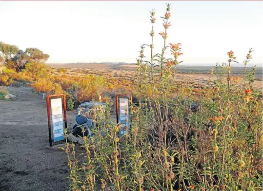  ?? Pictures: NANCY RICHARDS ?? FOLLOW THE SAN: Weather-worn notices shed light on the indigenous plants and right, Kerapetse Peter makes fire