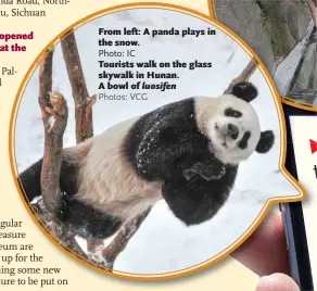  ?? Photo: IC Photos: VCG ?? From left: A panda plays in the snow. Tourists walk on the glass skywalk in Hunan. A bowl of luosifen