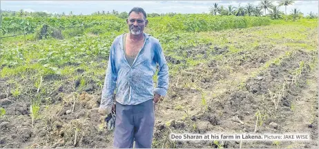  ?? Picture: JAKE WISE ?? Deo Sharan at his farm in Lakena.