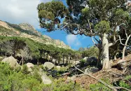  ??  ?? Gallery
Il mare, le rovine e l’interno, la visita all’sisola di Montecrist­o riserva sorprese. Da non perdere