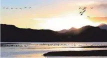  ?? DAQIONG / CHINA DAILY ?? Flocks of black-necked cranes are spotted over a reservoir near Lhasa.