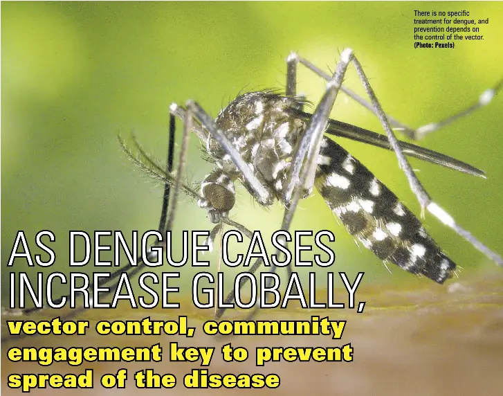 AS DENGUE CASES INCREASE GLOBALLY, vector control, community engagement ...