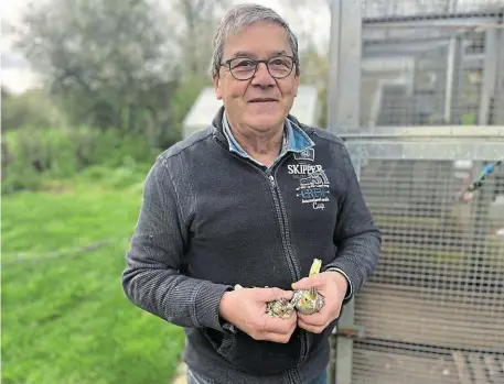  ?? | PHOTO : OUEST-FRANCE ?? Gérard Besson, passionné d’oiseaux, est président de l’Amicale ornitholog­ique cédéiste de Vendée (AOCV).