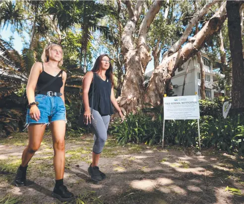  ?? Picture: STEWART McLEAN ?? TREE CHANGE: Matilda McNeol and Seerat Ohri from Melbourne walk past the giant melaleuca tree at Palm Cove.