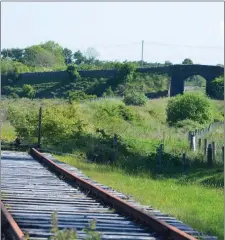  ??  ?? An area along the disused railway line.