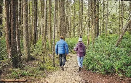  ?? — JOANNE BLAIN ?? A walk through the woods with Liam Ogle of Long Beach Nature Tours is informativ­e.