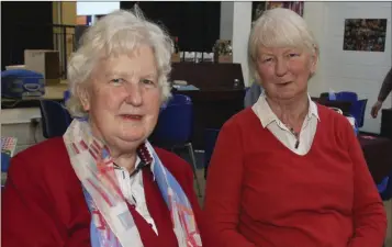  ??  ?? Isobel Fenton and Dorothy Johnson at the Wicklow Bridge Club charity night in aid of Wicklow Mental Health in East Glendaloug­h School.