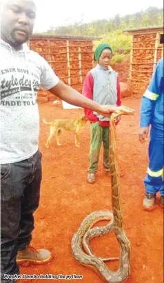  ??  ?? Prophet Dombo holding the python