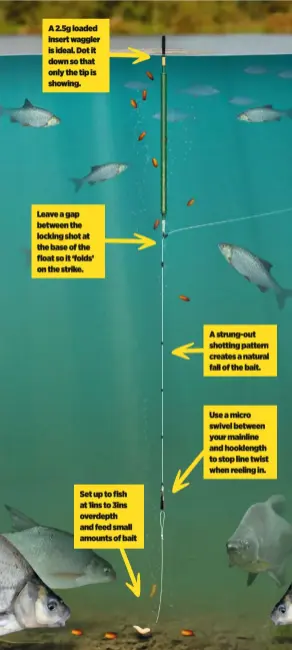  ??  ?? A 2.5g loaded insert waggler is ideal. Dot it down so that only the tip is showing.
Leave a gap between the locking shot at the base of the float so it ‘folds’ on the strike.
Set up to fish at 1ins to 3ins overdepth and feed small amounts of bait
A strung-out shotting pattern creates a natural fall of the bait.
Use a micro swivel between your mainline and hooklength to stop line twist when reeling in.