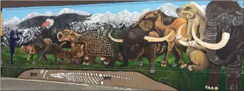  ?? SUBMITTED ?? Pictured is the classroom mural at the HSU Natural History Museum in Arcata. The mural shows Ice Age mammals, some which will be introduced during the museum’s online “Feathers and Fur” sessions.