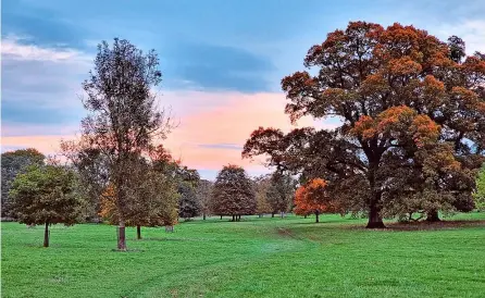  ?? ?? Evening sun on autumn tress in Corsham Park. By Simon Cox.