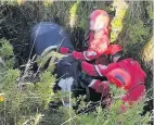  ??  ?? Fire crews rescued a horse from a ditch in Great Altcar