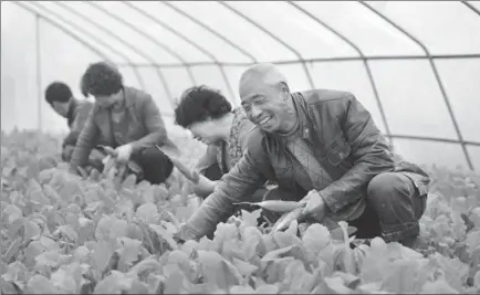  ?? ZHANG MENG/XINHUA ?? Liu Xiaoyang, a vegetable farmer in Chengxian, Gansu province, works in his greenhouse alongside fellow villagers.