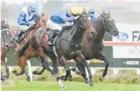  ?? Photo / Trish Dunell ?? Cavallo Veloce runs in the Bonecrushe­r Stakes at Ellerslie tomorrow.