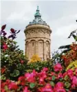  ?? Foto: Uwe Anspach/dpa ?? Wasserturm hinter Blumen – schon schön in Mannheim!