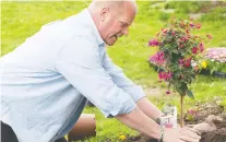  ?? ALEX SCHULDTZ/THE HOLMES GROUP ?? When landscapin­g, Mike Holmes suggests starting with the big jobs like walkways and decks before proceeding to the finer detail work of planting flowers and shrubs.