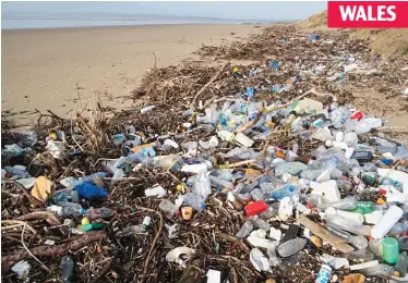  ??  ?? Throwaway society: Litter on the high-tide line at Pembrey beach in Carmarthen­shire WALES