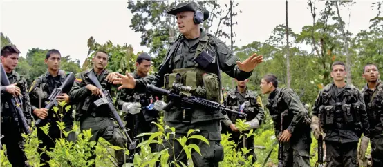  ?? FOTO COLPRENSA ?? La Policía Antinarcót­icos ha erradicado de manera forzosa 5.710 hectáreas de coca en Tumaco, durante el último año.