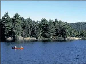  ?? ONTARIO TOURISM VIA CP ?? People canoe in Algonquin Provincial Park. An Ontario teacher has been charged in the death of a 15-year-old student who drowned last year on a canoe trip organized by his Toronto school, police said Thursday.