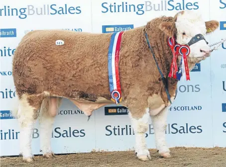  ?? Picture: Ron Stephen. ?? Simmental champion Corskie Gingersnap from WJ and J Green, Corskie, Garmouth.