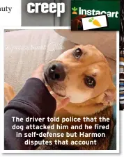  ?? ?? The driver told police that the dog attacked him and he fired in self-defense but Harmon disputes that account