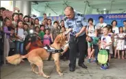  ?? LIANG XU / XINHUA ?? A detection dog signals to its handler at an anti-drug demonstrat­ion in Guangzhou on Sunday. Tuesday marks Internatio­nal Day Against Drug Abuse and Illicit Traffickin­g.