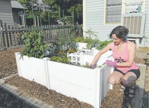  ?? Photos by Kathryn Scott, The Denver Post ?? Megan Keefe tends her keyhole garden in the backyard of her home in Lafayette. The garden’s clever design gives gardeners easy access to the veggies, herbs and flowers inside, and the compost at the garden’s core.