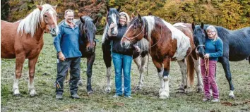  ?? Fotos: Julian Leitenstor­fer ?? Konrad Schlichter zeigt zwei Percheron-Kaltblüter, die bei ihm untergebra­cht sind. Schlichter wird mit Gundula, Tine Schober (Mitte) mit Luggi und Susanne Czech mit Jacky am Leonhardir­itt teilnehmen. Kaltblut Alice (links) ist neugierig und Tinker-Mix Miss Polly (Zweiter von rechts, rechtes Bild) ist das Reittier von Christian Faber. Im rechten Bild ein geschmückt­er Pferdeschw­eif vom Leonhardir­itt 2017.