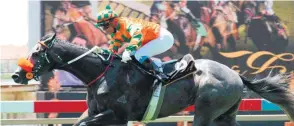  ?? JC PHOTOGRAPH­ICS ?? Jockey Gavin Lerena should steer the Weiho Marwing-trained Manhattan Cocktail to a third career triumph when they line up in Race 8 at the Vaal today. /