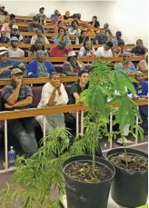  ?? SUPPLIED ?? Some of the farmers who received hemp training by Training Force in collaborat­ion with Cheeba Cannabis Training.