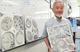  ?? Picture: AP ?? INSPIRATIO­N: Yoshinori Ohsumi discovered how cells break down.