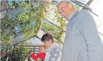  ?? FOTO: CAROLINE MESSICK ?? Hans Krämer versteht sich so gut mit Mikado-Einsatzlei­terin Juliane Thiess, dass sie und ihre Tochter Frida sogar von den Tomaten naschen dürfen, die der Senior in seinem Gewächshau­s anbaut.