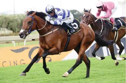  ??  ?? RIGHT CONDITIONS. Sean Tarry feels S’manga Khumalo chose to ride Furiosa in Saturday’s Betting World Gaunteng Guineas because he is the fittest of the four runners and has a good draw.