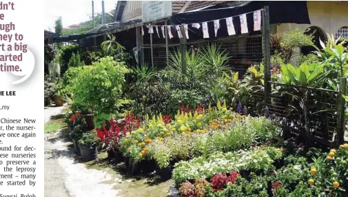  ??  ?? Beautiful blooms: Flowering plants in neat rows at the entrance of L&L Nursery and Landscapin­g in Sungai Buloh.